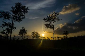 Family Getaway 9 Days 8 Nights Thekkady Romantic Vacation Package