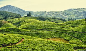 Amazing 4 Days 3 Nights Munnar Offbeat Tour Package
