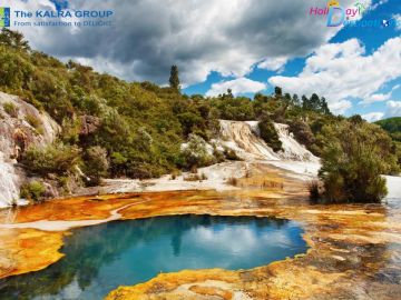 Beautiful 15 Days New Delhi to Rotorua Trip Package
