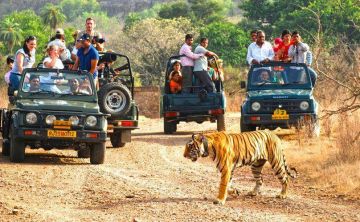 Family Getaway 5 Days 4 Nights Jim Corbett and Nainital Holiday Package