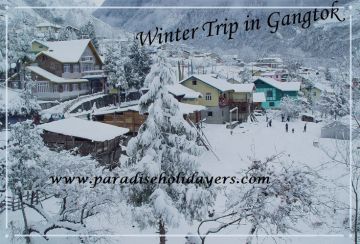 Magical 4 Days Siliguri to Gangtok Honeymoon Tour Package