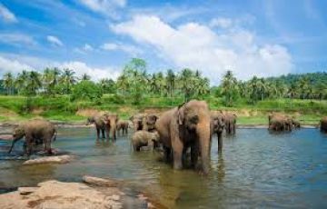 Heart-warming 5 Days Colombo to Kandy Tour Package
