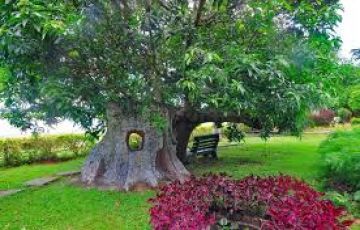 Best Coorg Offbeat Tour Package for 5 Days 4 Nights from Delhi