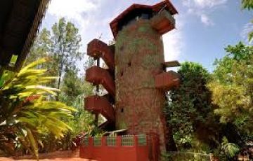Ecstatic Bangalore Forest Tour Package from Delhi