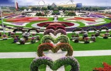 Memorable 6 Days New Delhi to DUBAI Vacation Package