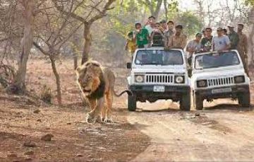 Ecstatic 4 Days Sasan Gir Forest Holiday Package