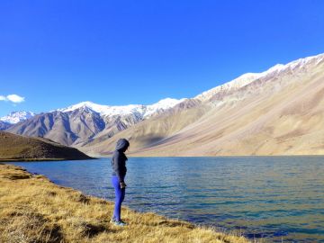 Jispa Nature Tour Package for 7 Days from Chandigarh