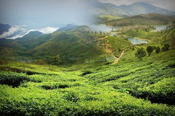 Memorable 7 Days Ooty, Kodaikanal and Munnar Trip Package