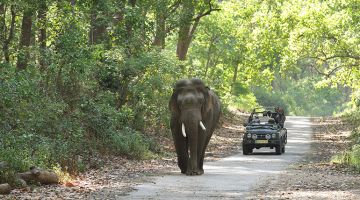 Heart-warming 4 Days Uttrakhand Luxury Holiday Package