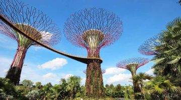 SINGAPORE EXTRAVAGANZA WITH 3 NIGHTS ROYAL CARIBBEAN CRUISE - 7N/8D