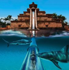 Family Getaway 6 Days Delhi to Dubai Resort Tour Package