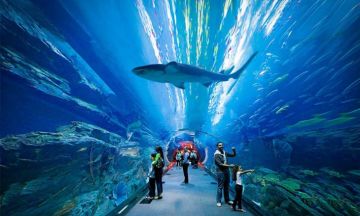 Family Getaway 6 Days Delhi to Dubai Resort Tour Package