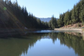 Beautiful 4 Days Chandigarh to Hatu Peak Vacation Package