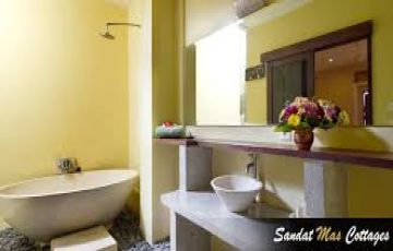 Pleasurable Bali Nature Tour Package for 4 Days