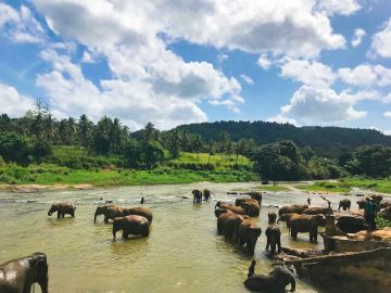 Religious tour to Sri Lanka