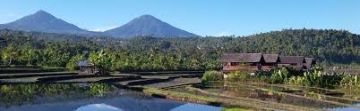 5 Days 4 Nights Bali Nature Vacation Package