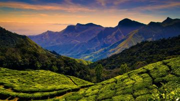5 Days Coorg with Ooty Lake Vacation Package
