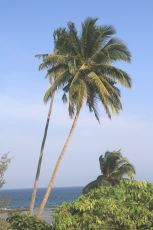 6 Days 5 Nights Port Blair Cruise Vacation Package