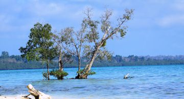 Beautiful 7 Days 6 Nights Port Blair Water Activities Holiday Package