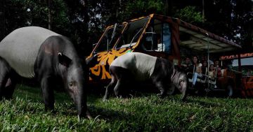 Pleasurable 12 Days India to Malaysia Holiday Package