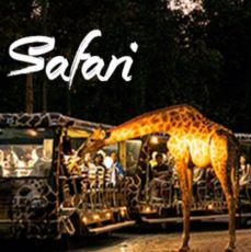 Pleasurable 12 Days India to Malaysia Holiday Package