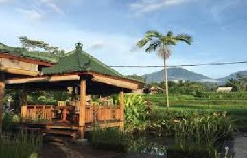5 Days 4 Nights Delhi to Bali Nature Tour Package
