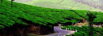 Family Getaway 7 Days Cochin Munnar Thekkady Kanyakumari - Kovalam Trivandrum - Alleppy - Cochin Historical Places Trip Package