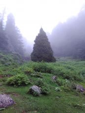 Beautiful 3 Days Delhi to Shimla -Shali Peak- Shiva Falls Honeymoon Vacation Package