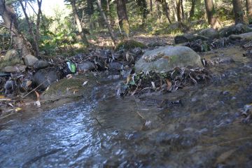 Amazing Kasol Manikaran Bhunter Parvati Valley Offbeat Tour Package from Delhi