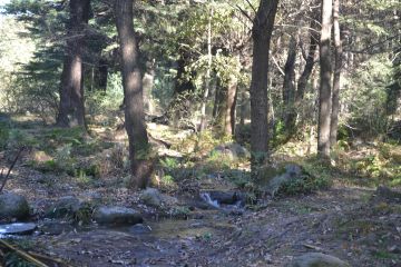 Amazing Kasol Manikaran Bhunter Parvati Valley Offbeat Tour Package from Delhi