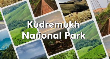 5 Days 4 Nights Bangalore - Kemmanagundi - Chikmagalur - Kavikal Gandi View Point - National Park Kalasa - HoranaduBelur Halebid Tour Package