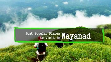 Magical 3 Days Kozhikode to Wayanad Nature Trip Package