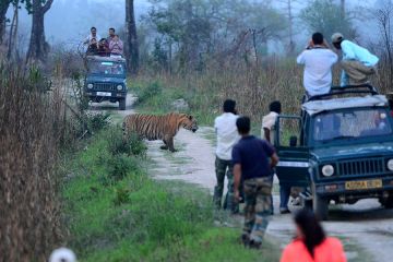 Assam and Meghalaya Tour in 4 Nights and 5 Days