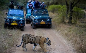 Experience 2 Days Delhi to Ranthambhore Fort Wildlife Vacation Package