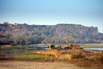 Experience 2 Days Delhi to Ranthambhore Fort Wildlife Vacation Package