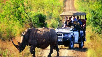 Family Getaway 3 Days Assam Offbeat Trip Package