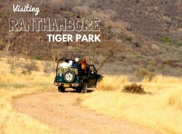 Ecstatic 4 Days Delhi to Ranthambhore Fort Honeymoon Tour Package