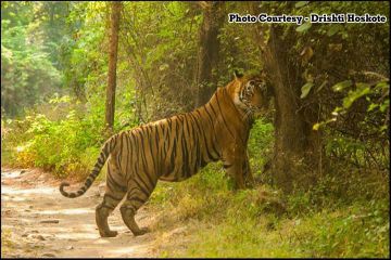 Ecstatic 4 Days Delhi to Ranthambhore Fort Honeymoon Tour Package