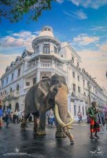 7 Days 6 Nights Kandy Tour Package