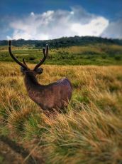 7 Days 6 Nights Kandy Tour Package