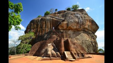 Ecstatic 4 Days Dambulla and Colombo Wildlife Vacation Package