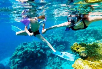 Experience 4 Days 3 Nights North Goa Wildlife Trip Package