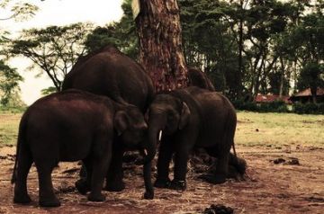 Memorable 5 Days MYSORE Friends Tour Package