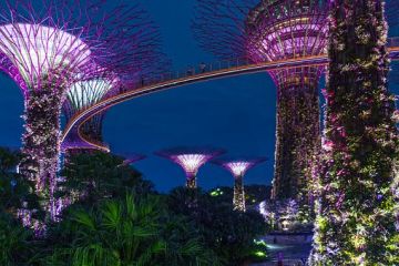 Singapore Honeymoon Special