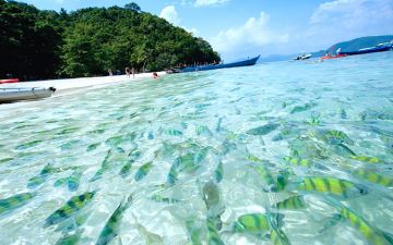 Memorable 5 Days Bangkok to Pattaya City Cruise Holiday Package