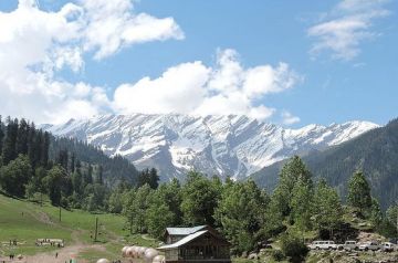 7 Days 6 Nights Delhi to Manali Romantic Tour Package