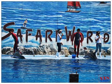 Beautiful 7 Days 6 Nights Bangkok with Pattaya City Beach Trip Package