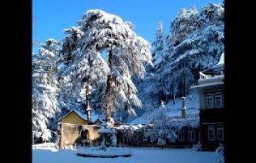 Amazing 3 Days 2 Night Shimla Friends Vacation Package