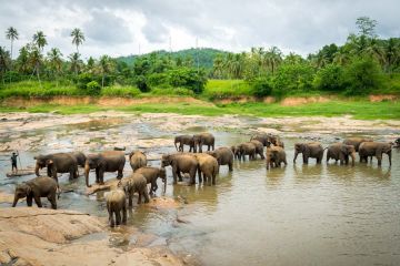 Amazing Sri Lanka - Luxury