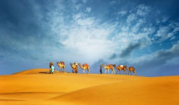 Magical Dubai Tour Package for 6 Days from Delhi